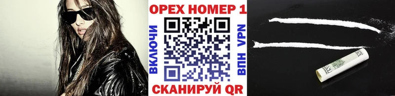 Cocaine FishScale  Купить где  Кяхта 