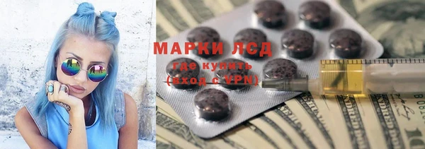PSILOCYBIN Богданович