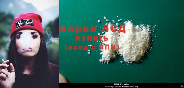 дмт Бородино