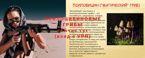 мяу мяу мука Беломорск