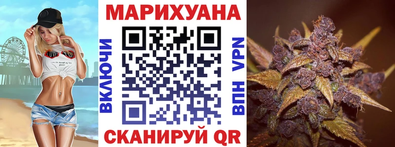 Купить  Кяхта  Канабис гибрид 